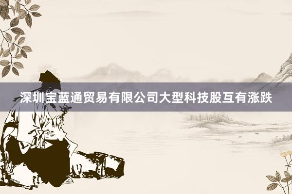 深圳宝蓝通贸易有限公司　　大型科技股互有涨跌